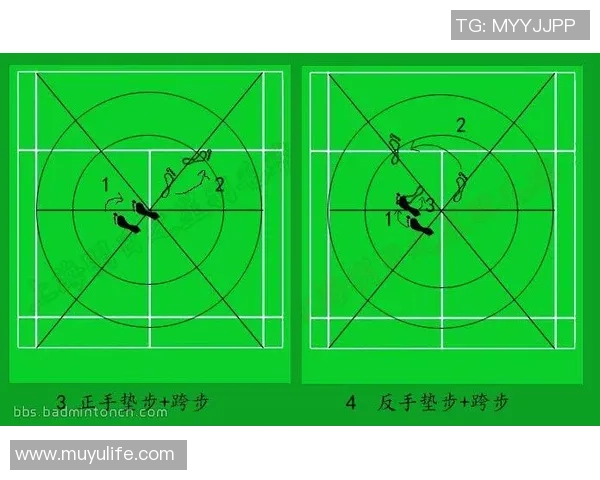赛后分析：上海羽毛球队与北京羽毛球队速度对比及战术探讨